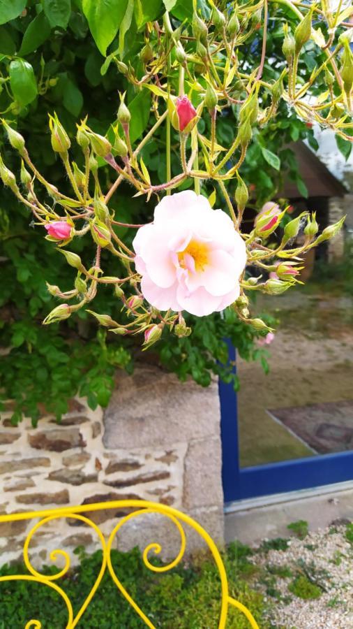 Bed and Breakfast Ker Anahid - L'Atelier Pleslin-Trigavou Zewnętrze zdjęcie